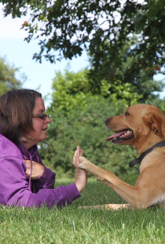 Clair hickson high fiving with a dog