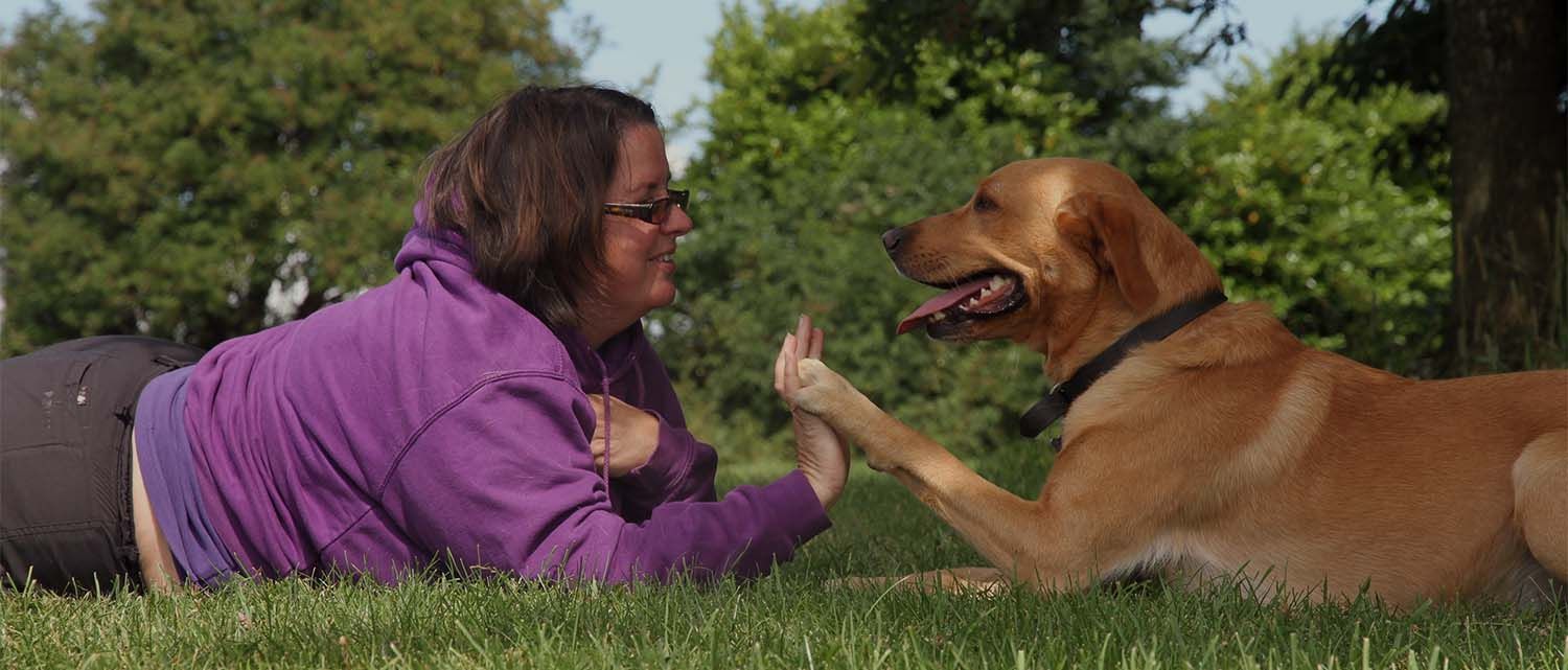 Clair hickson high fiving a dog