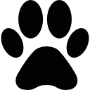 Black paw icon