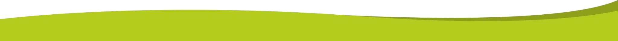 Footer graphic