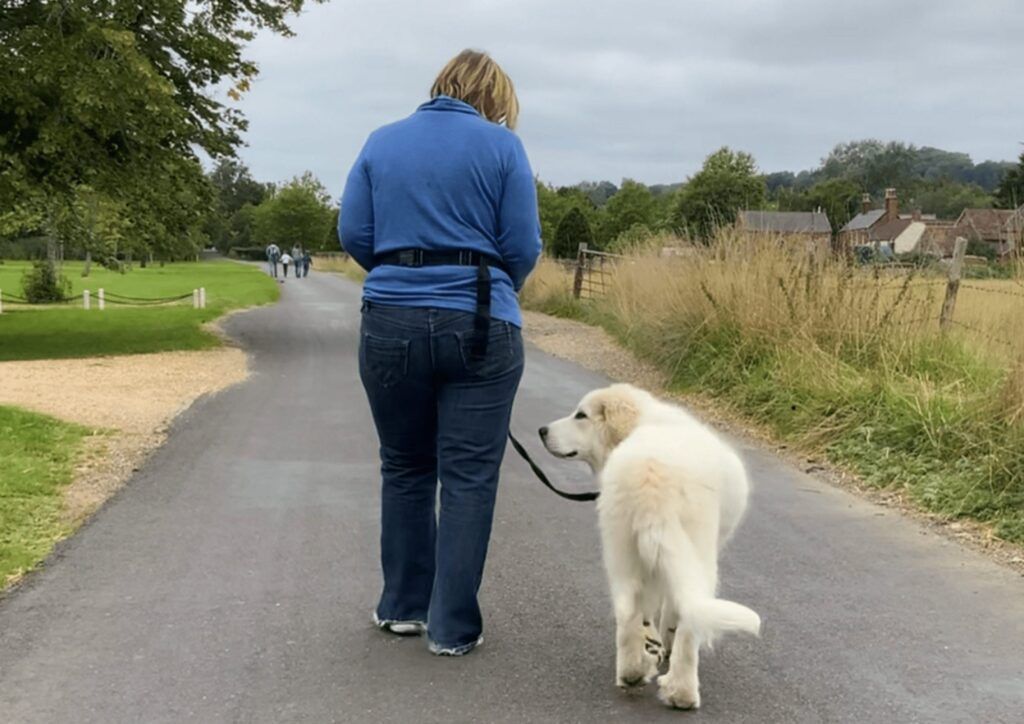 Clair hickson walking a dog on the lead, along a track with a blue jumper and jeans on
